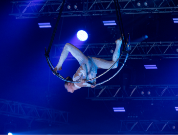 Цирковые номера