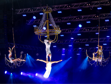 Цирковые номера