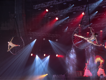 Цирковые номера